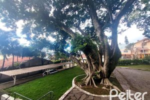 Apartamento à venda com 69m², 2 dormitórios, 1 vaga, no bairro Tristeza em Porto Alegre