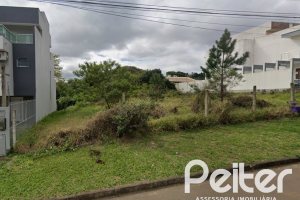 Terreno à venda com 239m², no bairro Espírito Santo em Porto Alegre