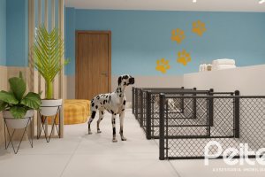 Apartamento à venda com 30m², 1 dormitório, no bairro Cristal em Porto Alegre