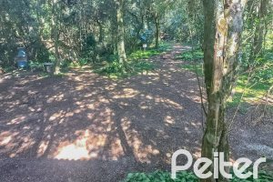 Casa em Condomínio à venda com 259m², 3 dormitórios, 1 suíte, 3 vagas, no bairro Vila Nova em Porto Alegre