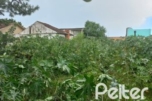 Terreno à venda com 335m², no bairro Cavalhada em Porto Alegre