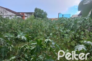 Terreno à venda com 335m², no bairro Cavalhada em Porto Alegre