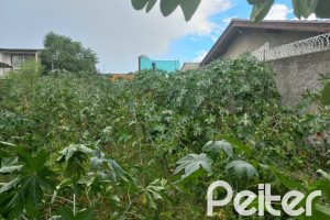 Terreno à venda com 335m², no bairro Cavalhada em Porto Alegre