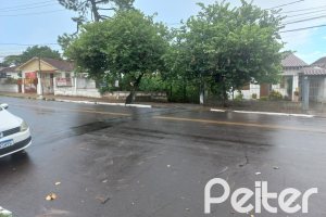 Terreno à venda com 335m², no bairro Cavalhada em Porto Alegre
