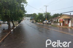 Terreno à venda com 335m², no bairro Cavalhada em Porto Alegre