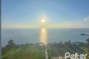 Comercial à venda com 37m², 1 vaga, no bairro Cristal em Porto Alegre