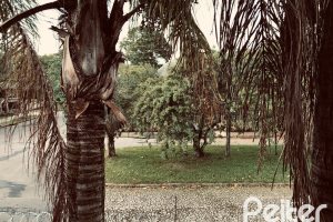 Casa à venda com 286m², 4 dormitórios, 1 suíte, 2 vagas, no bairro Tristeza em Porto Alegre