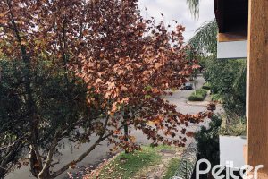Casa à venda com 286m², 4 dormitórios, 1 suíte, 2 vagas, no bairro Tristeza em Porto Alegre