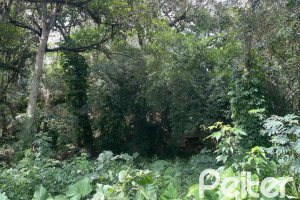 Terreno à venda com 1173m², no bairro Ipanema em Porto Alegre