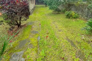 Terreno à venda com 357m², no bairro Tristeza em Porto Alegre