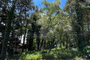 Terreno à venda com 1760m², no bairro Planalto em Gramado