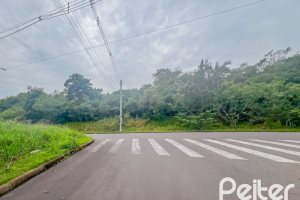 Terreno à venda com 233m², no bairro Guarujá em Porto Alegre