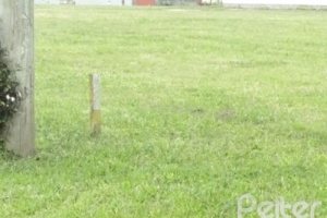 Terreno em condomínio à venda, no bairro Terra Ville em PORTO ALEGRE