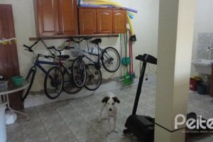 Casa à venda com 156m², 3 dormitórios, 1 suíte, 2 vagas, no bairro Espírito Santo em Porto Alegre