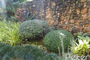 Casa à venda com 400m², 3 dormitórios, 1 suíte, 3 vagas, no bairro Jardim Isabel em Porto Alegre