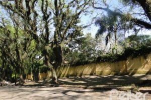 Terreno à venda com 1214m², no bairro Cristal em Porto Alegre