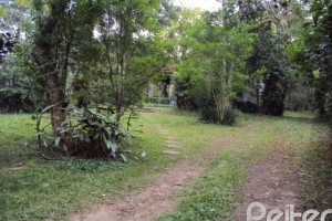 Terreno à venda com 4452m², no bairro Jardim Isabel em Porto Alegre