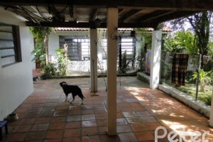 Casa à venda com 333m², 4 dormitórios, 2 suítes, 3 vagas, no bairro Cristal em Porto Alegre