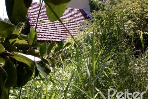 Terreno à venda com 609m², no bairro Tristeza em Porto Alegre