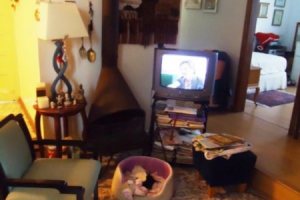 Casa à venda com 181m², 3 dormitórios, 1 suíte, 4 vagas, no bairro Ipanema em Porto Alegre