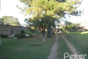 Terreno à venda, no bairro Guarujá em Porto Alegre