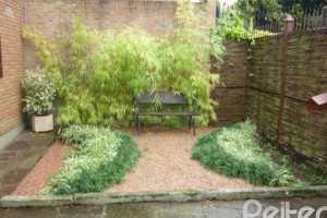 Casa à venda com 300m², 3 dormitórios, 1 suíte, 3 vagas, no bairro Vila Conceição em Porto Alegre