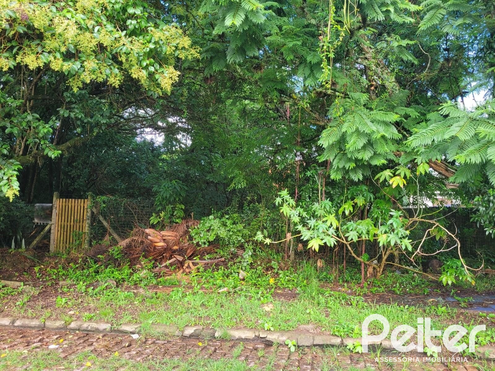 Terreno à venda em Ipanema, Porto Alegre — foto 2