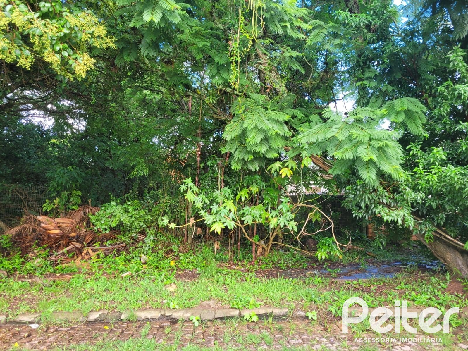 Terreno à venda em Ipanema, Porto Alegre — foto 3