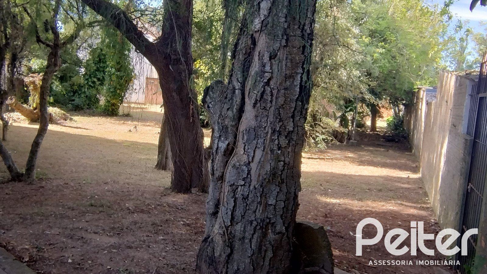 Terreno à venda em Guarujá, Porto Alegre — foto 3