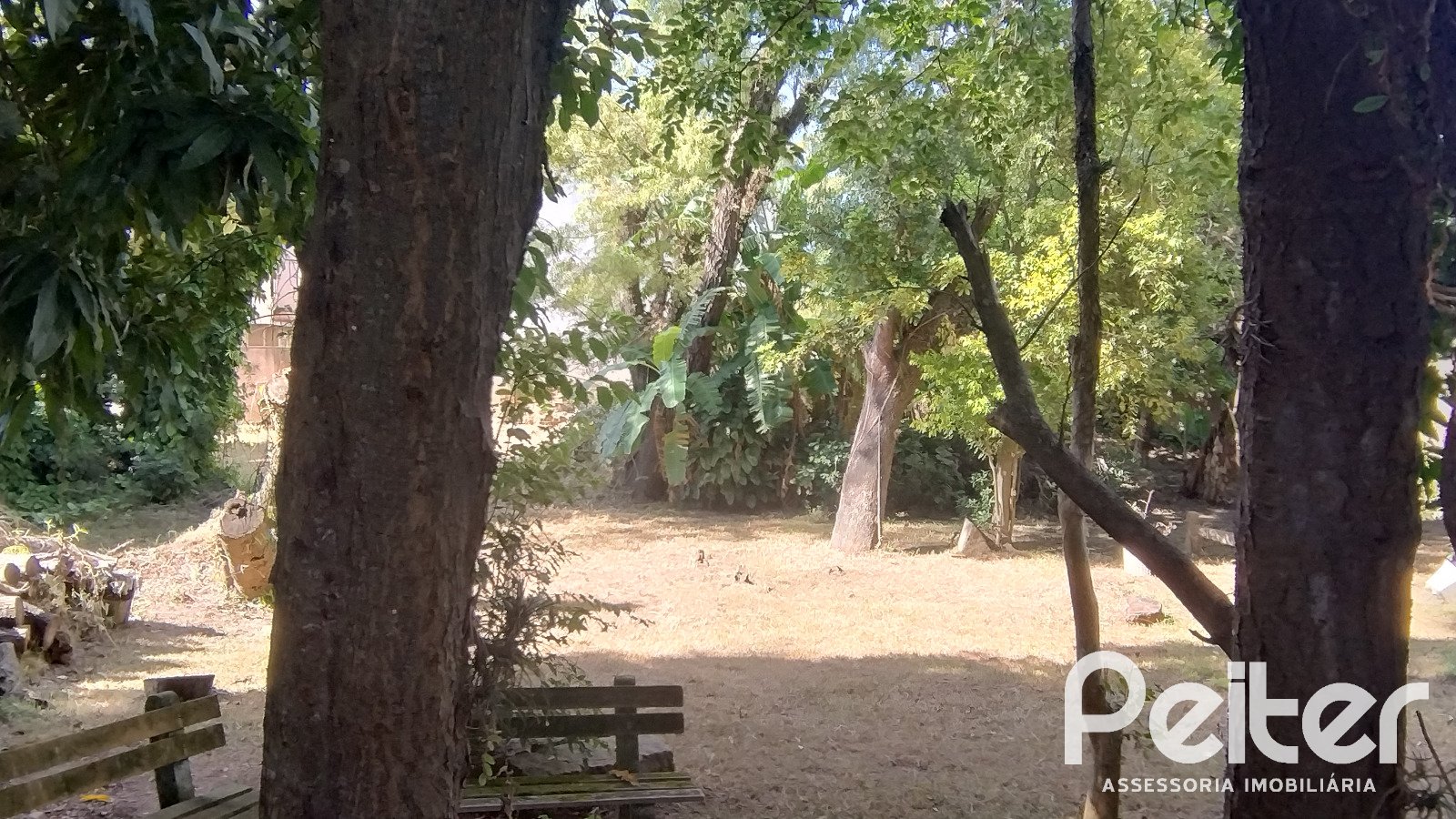 Terreno à venda em Guarujá, Porto Alegre — foto 5