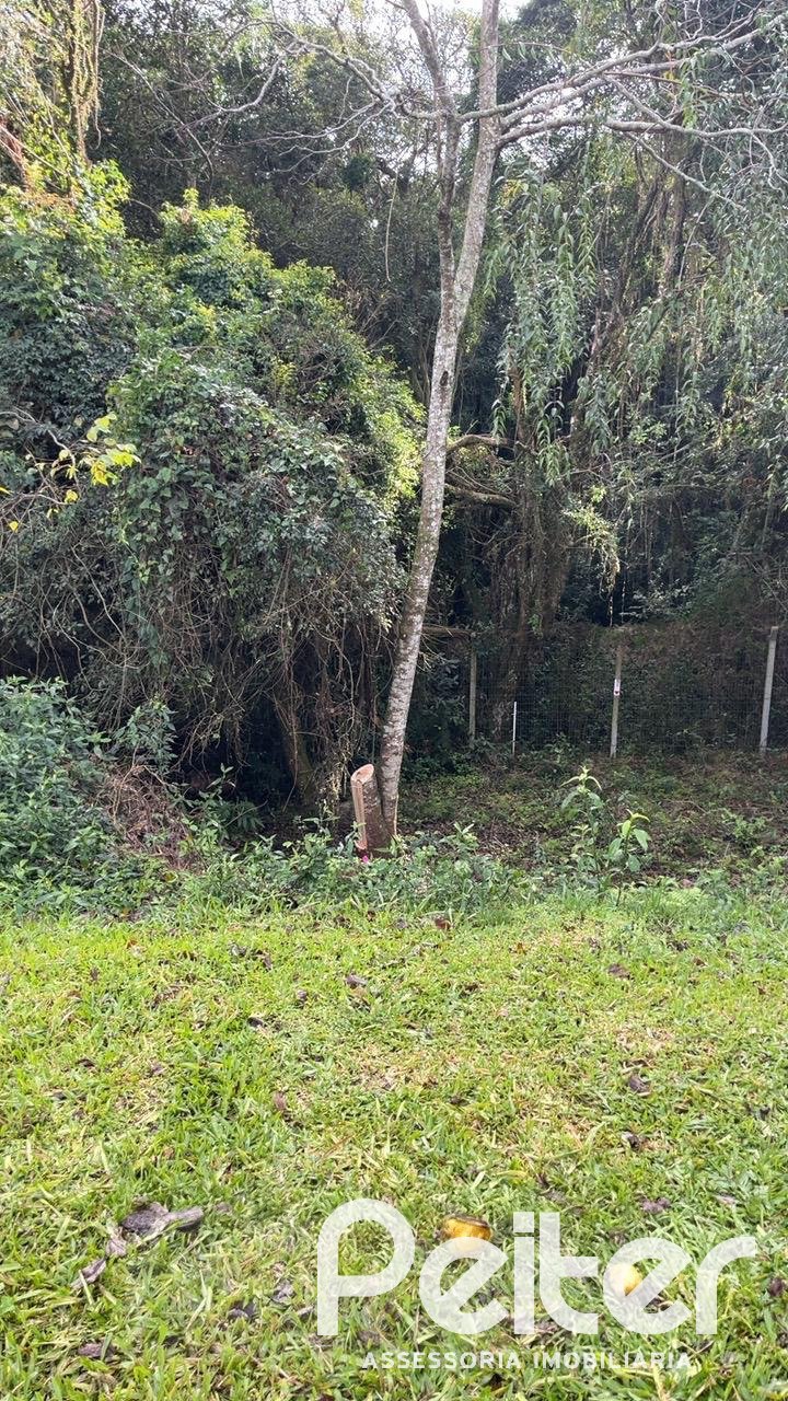 Terreno à venda em Vila Nova, Porto Alegre — foto 2