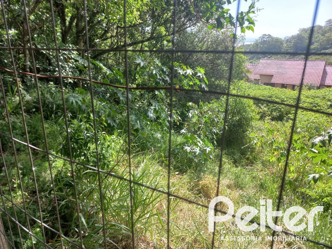 Terreno à venda em Teresópolis, Porto Alegre — foto 3