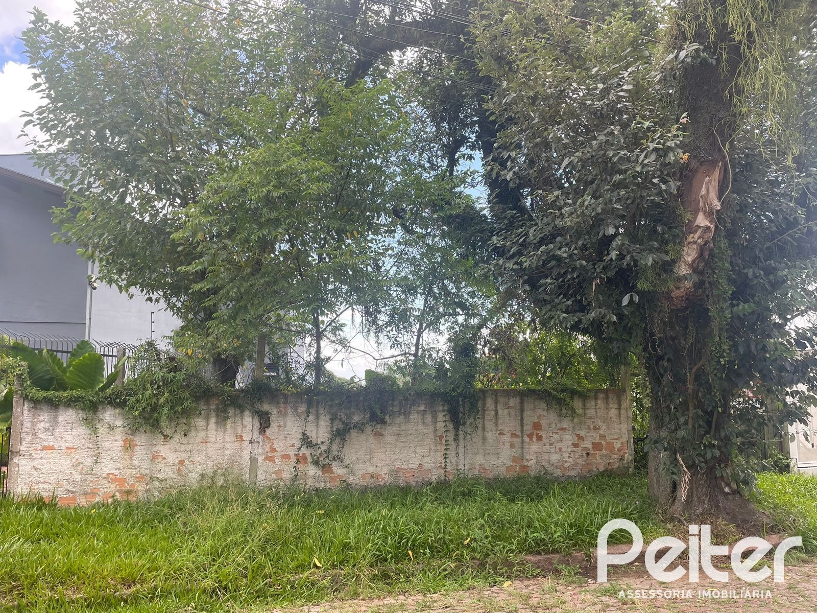 Terreno à venda em Sétimo Céu, Porto Alegre — foto 1