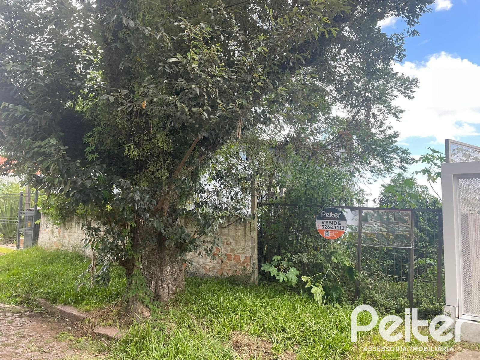 Terreno à venda em Sétimo Céu, Porto Alegre — foto 2