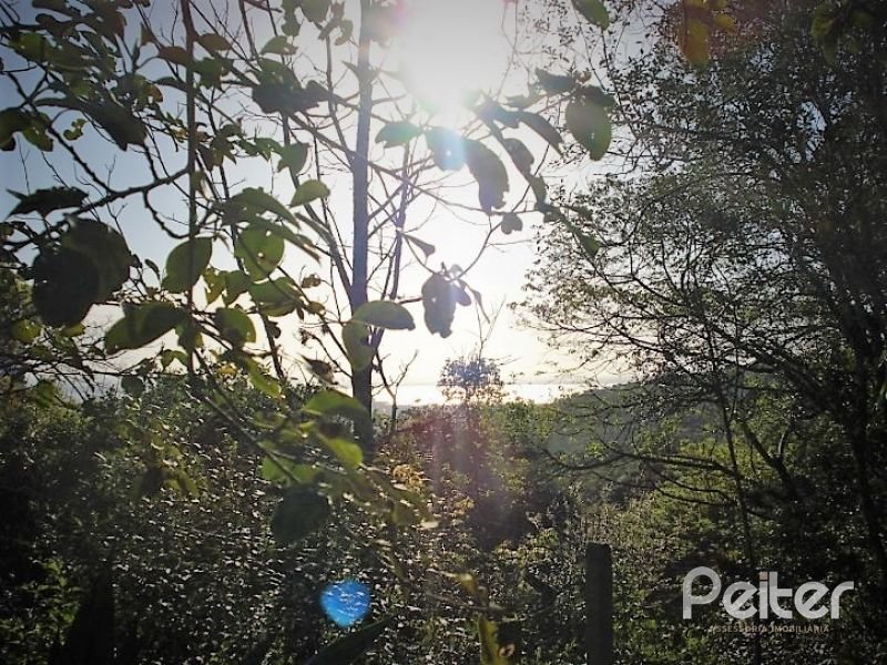 Terreno à venda em Vila Nova, Porto Alegre — foto 2