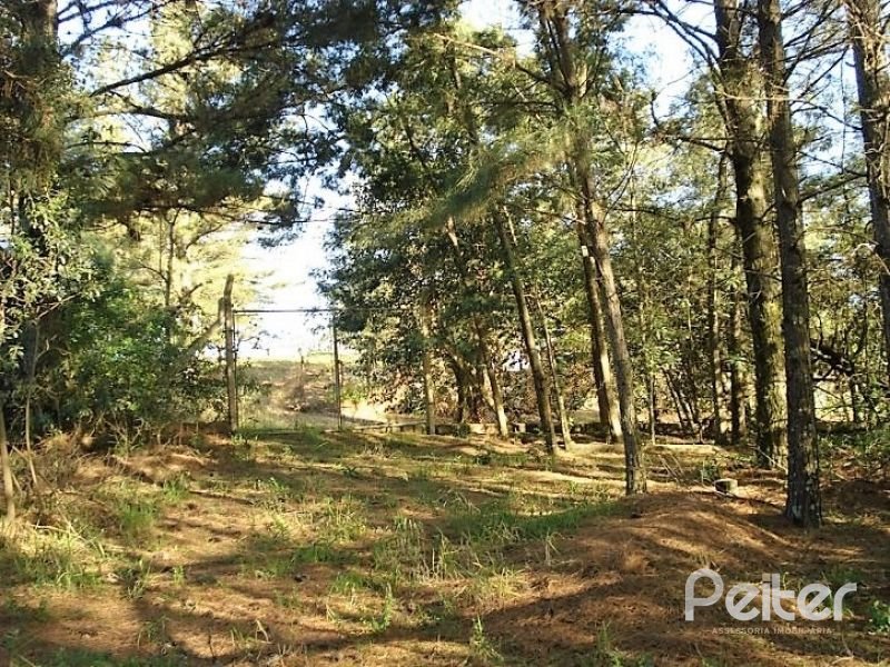 Terreno à venda em Vila Nova, Porto Alegre — foto 3