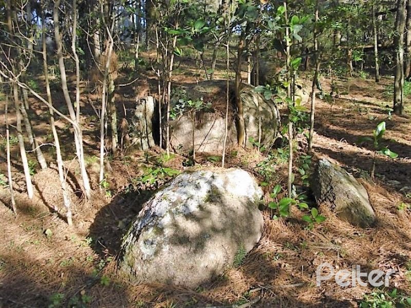 Terreno à venda em Vila Nova, Porto Alegre — foto 5