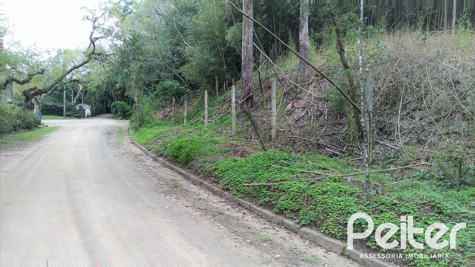 Terreno à venda em Ponta Grossa, Porto Alegre — foto 1