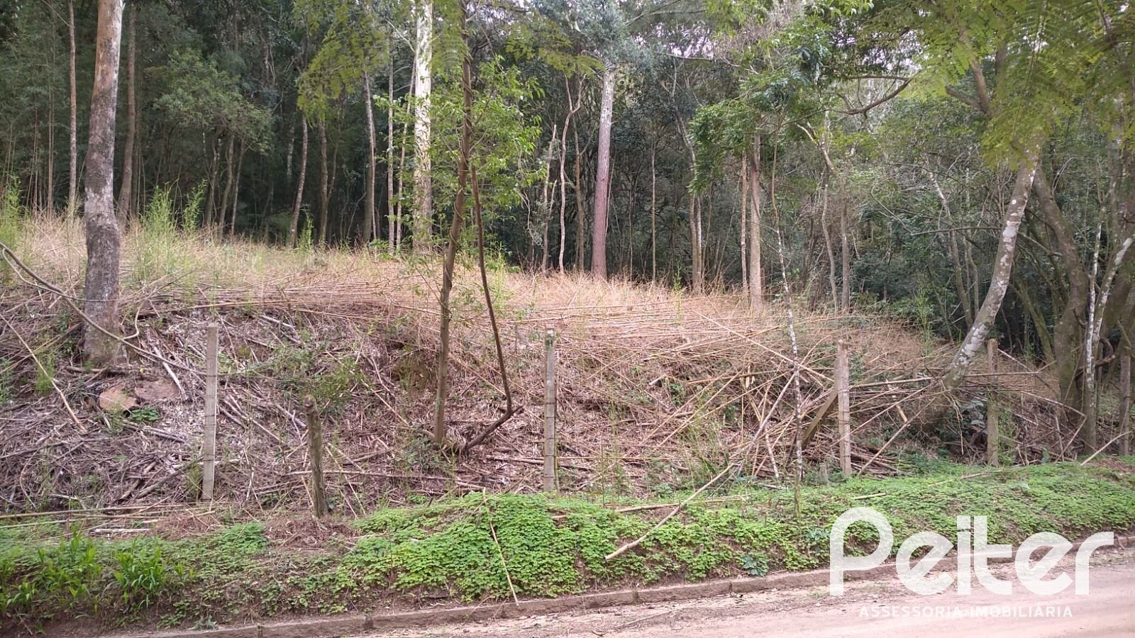 Terreno à venda em Ponta Grossa, Porto Alegre — foto 3