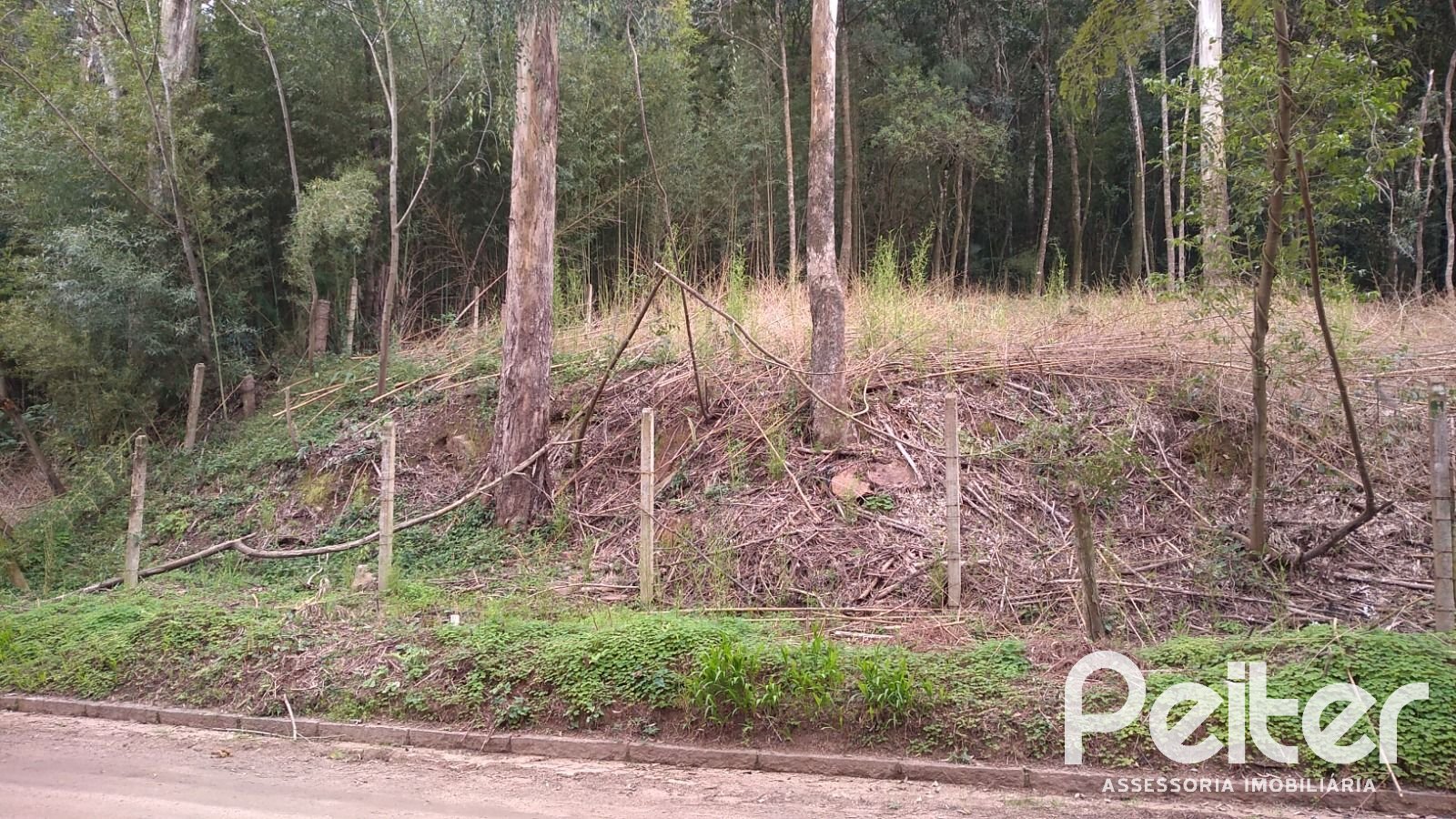 Terreno à venda em Ponta Grossa, Porto Alegre — foto 4