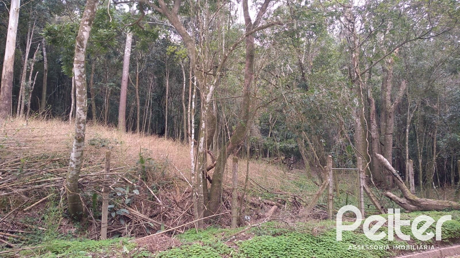 Terreno à venda em Ponta Grossa, Porto Alegre — foto 5